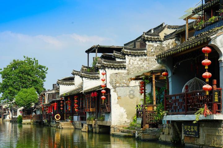 动物帮帮忙保卫家园